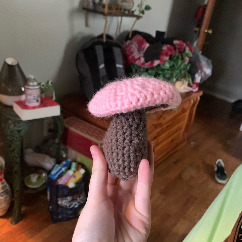 Cute crochet boho aesthetic mushroom | handmade